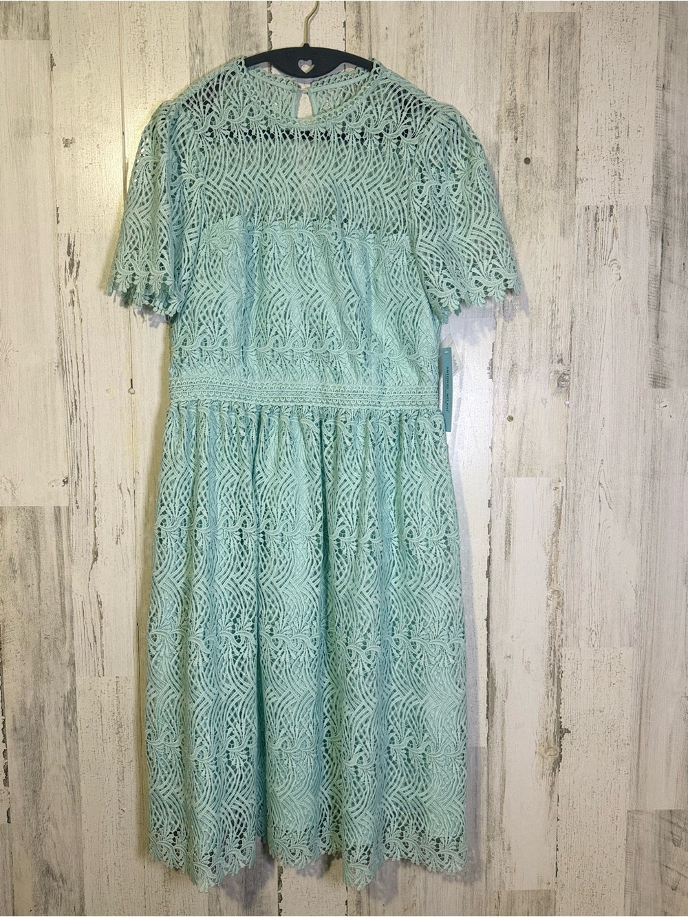 NWT Antonio Melani Mint Green Lace Midi Dress Size 8 - Picture 3 of 14